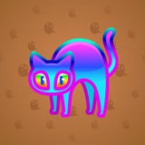 Scared Cat #18605 Scared Cat #18605
