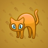 Scared Cat #18612 Scared Cat #18612