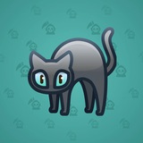 Scared Cat #18619 Scared Cat #18619