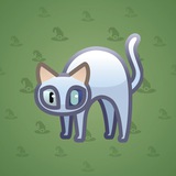 Scared Cat #18660 Scared Cat #18660