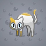 Scared Cat #1883