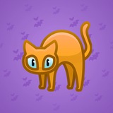 Scared Cat #198