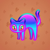 Scared Cat #2053 Scared Cat #2053