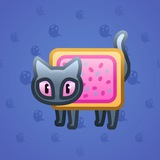 Scared Cat #2062 Scared Cat #2062