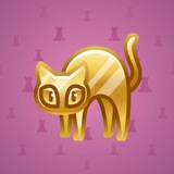 Scared Cat #2079 Scared Cat #2079