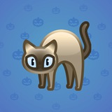 Scared Cat #2108 Scared Cat #2108
