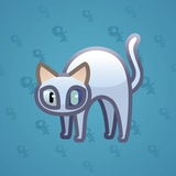 Scared Cat #2118