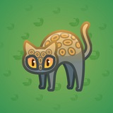 Scared Cat #2266