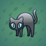 Scared Cat #2421 Scared Cat #2421