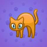Scared Cat #2552