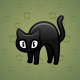 Scared Cat #2573
