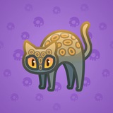 Scared Cat #2678