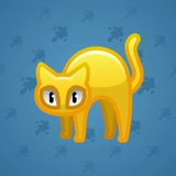 Scared Cat #2762