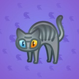 Scared Cat #2794 Scared Cat #2794