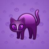 Scared Cat #2810 Scared Cat #2810