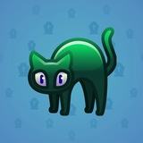 Scared Cat #2855 Scared Cat #2855