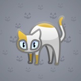 Scared Cat #2982