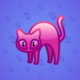 Scared Cat #310 Scared Cat #310