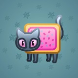 Scared Cat #3163 Scared Cat #3163