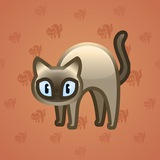 Scared Cat #3250 Scared Cat #3250