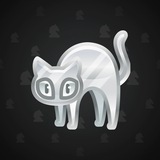 Scared Cat #3369 Scared Cat #3369