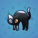 Scared Cat #3484