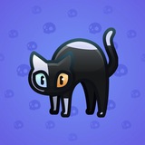 Scared Cat #3516