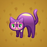 Scared Cat #3641