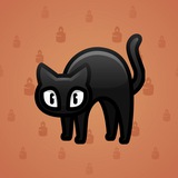 Scared Cat #3685 Scared Cat #3685