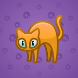 Scared Cat #3718