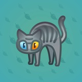 Scared Cat #3793