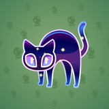 Scared Cat #386 Scared Cat #386