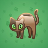 Scared Cat #3870
