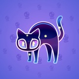 Scared Cat #4111