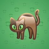 Scared Cat #416