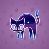 Scared Cat #4164 Scared Cat #4164