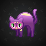 Scared Cat #4244 Scared Cat #4244