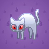 Scared Cat #4251 Scared Cat #4251