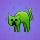 Scared Cat #4357