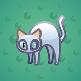 Scared Cat #4425 Scared Cat #4425