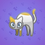 Scared Cat #4435