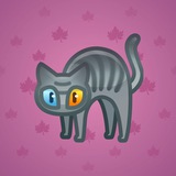 Scared Cat #4495