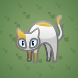 Scared Cat #4534