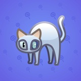 Scared Cat #4606 Scared Cat #4606
