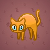 Scared Cat #473 Scared Cat #473