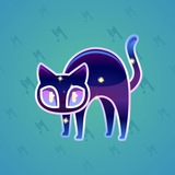 Scared Cat #4837
