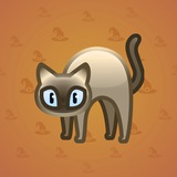 Scared Cat #4844