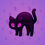 Scared Cat #4932 Scared Cat #4932