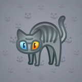 Scared Cat #4956