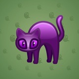 Scared Cat #4986
